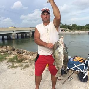 Meet your Posher, Joe